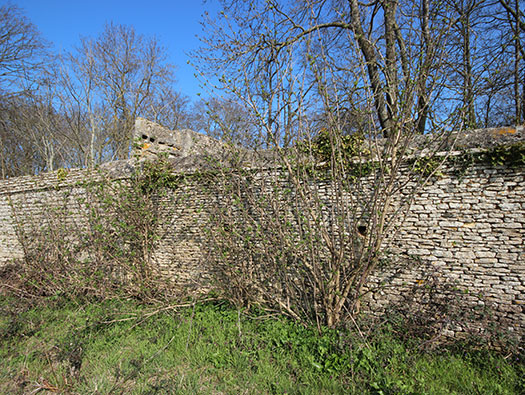 Wn23 Tailleville
