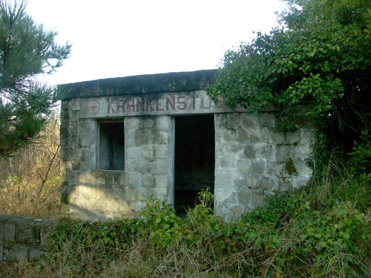 Ro425 ´Kora´, Ro429 'Korola', Ro424 'Käthe', Ile de Ré