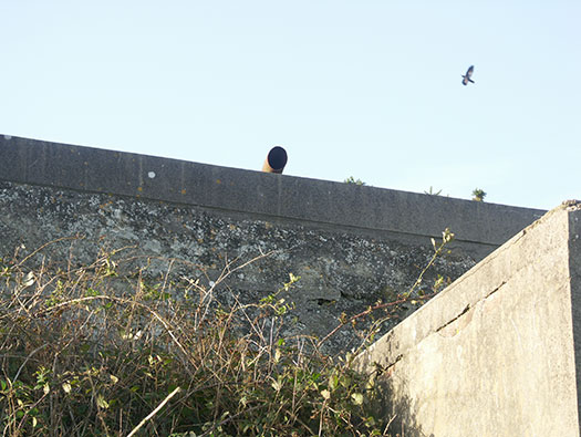 RAF Trerew, Cornwall. Chain Home Radar Station No.18.