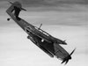 Barracuda.