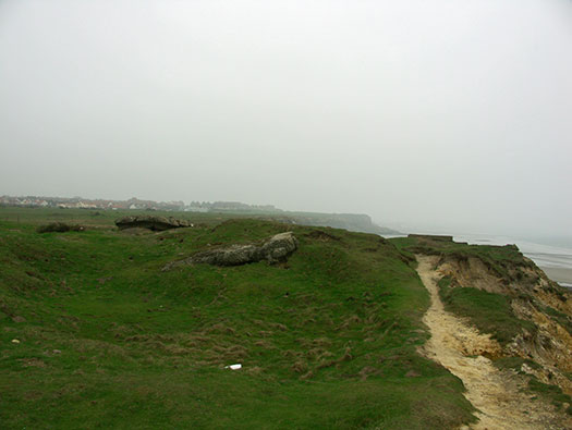 StP207 Fischreiher