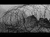 Barbed wire.