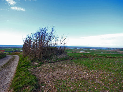 Ca12 Onival.