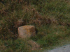 Boundary stone.