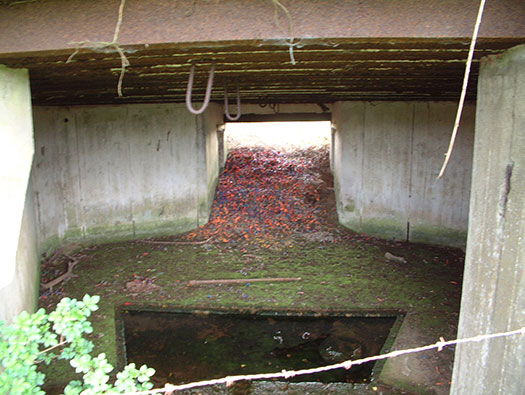 Batterie Digosville
