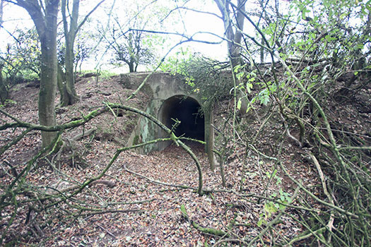StP Ruine, Mont de Neufchâtel.