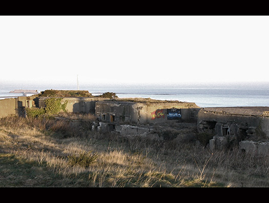 Wn241 Le Fort de Digosville (Fort des Roches)