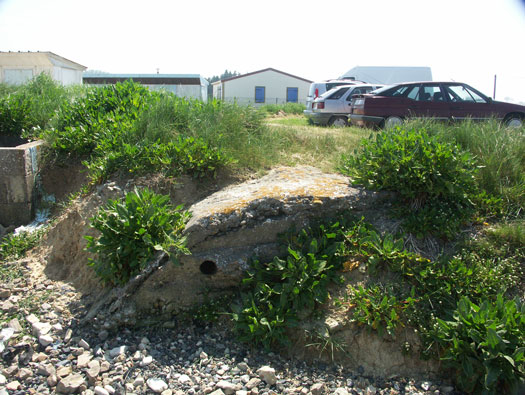 Wn81
Grandcamp-Maisy ouest,