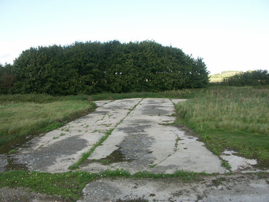 RAF Zeals