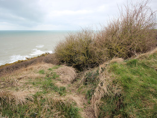 Wn60 Colleville-sur-Mer, (Omaha Beach)