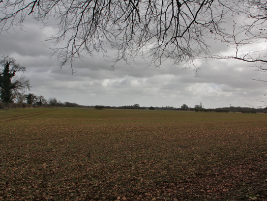 Starveall Farm SLG