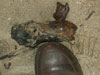 Wn116 Les Epagnes Dranguet