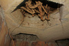 Tobruk type holes.