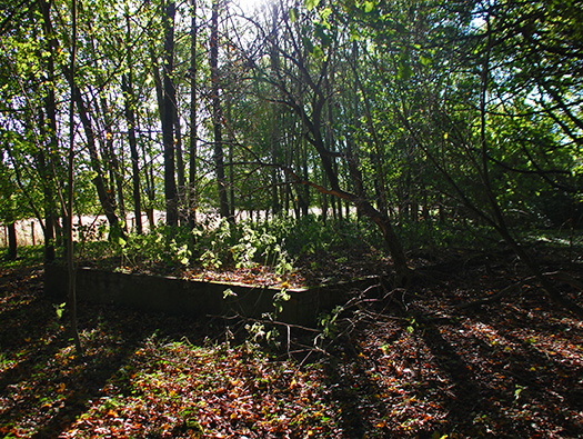Oatlands Hill RLG