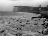 Sea defences.