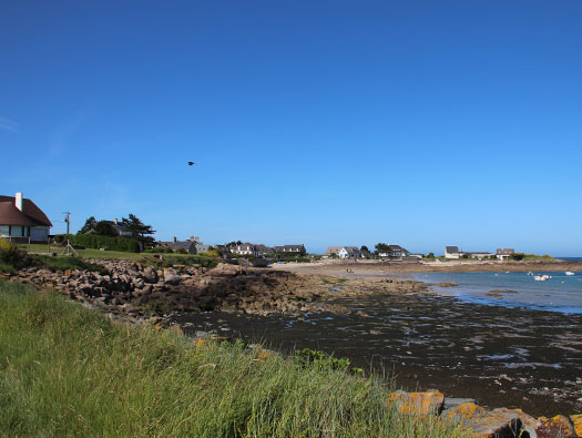 Wn119 Pointe de Landemer La Houe