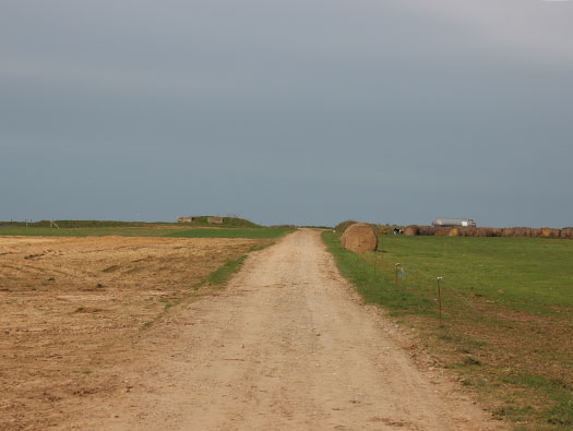 StP026 Batterie West Ecqueville