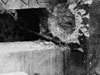 Where a tank round may have hit the Muzzle Break.