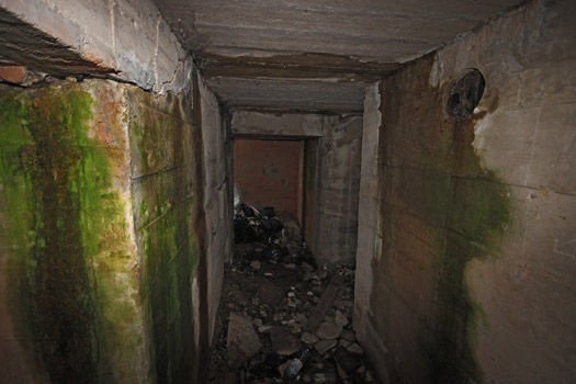 Ra236 I. Pleurtuit Flak