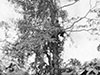 They could have built a wooden tower as a lookout post.