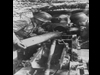 Batterie Digosville