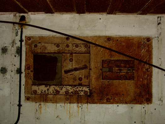 Ro425 ´Kora´, Ro429 'Korola', Ro424 'Käthe', Ile de Ré