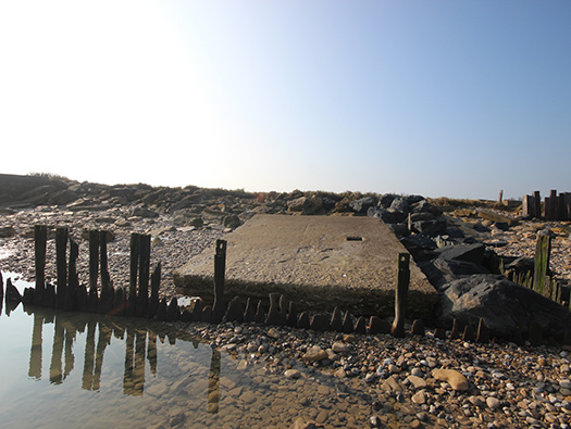 Wn35 Ver-sur-Mer, le Marais
