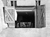 A set of wooden front doors on a casemate.