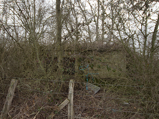 Führerhauptquartier ´Wolfsschlucht 2´ Flakstellung ´C´
