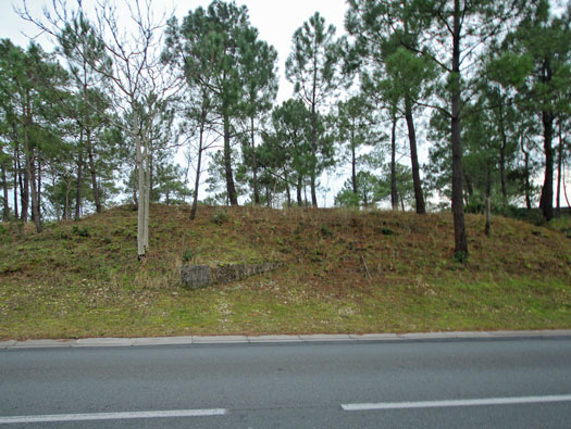 Gi09 Bon Anse 'Cosel' (North site)