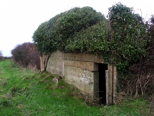 Wn346 Les Asselins la Gouinerie, Omonville la Rogue