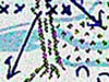 A bridge is shown on the Bigot map.