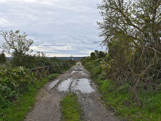 Flak La Hode, Saint-Vigor-d´Ymonville