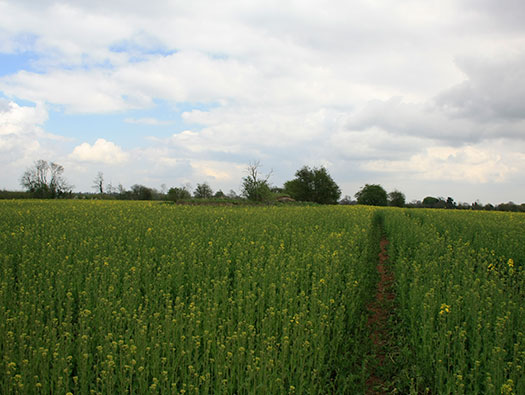 RAF Hinton-in-the-Hedges