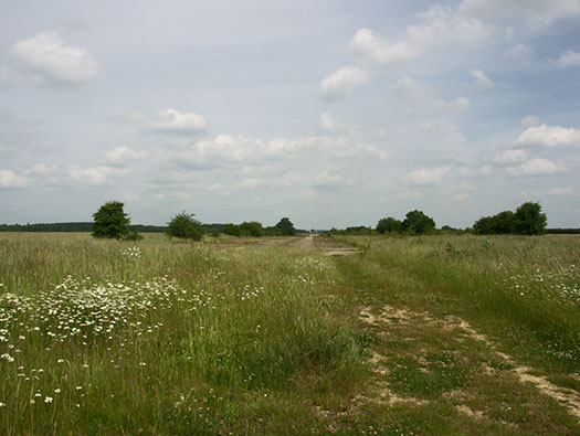 RAF Broadwell