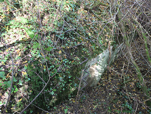 Führerhauptquartier‘Wolfsschlucht 2’ Flakstellung ‘16’