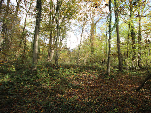 Führerhauptquartier ‘Wolfsschlucht 2’   Flakstellung ‘16’,   Margival, Soissons, France.