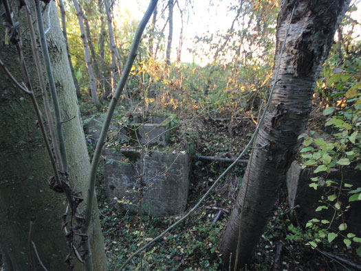 Führerhauptquartier ´Wolfsschlucht 2´ Flakstellung ´B´