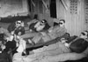 Night fighter pilots protecting their night vision at RAF Predannack.