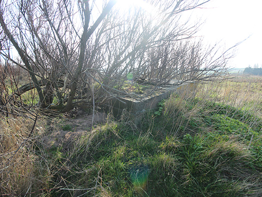 Wn35 Ver-sur-Mer, le Marais