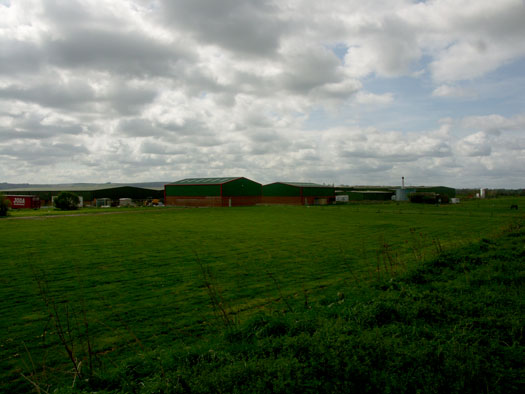 RAF Shellingford