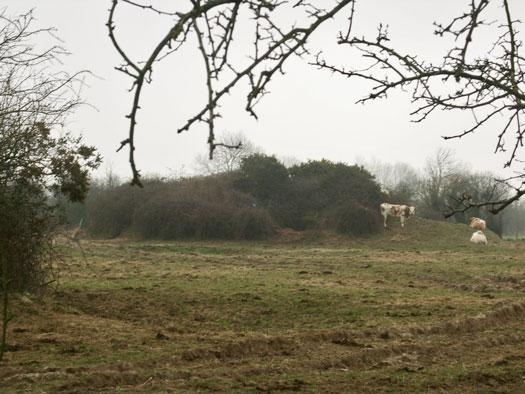 Wn108
Battr St  Martin de Varreville