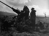 Army Bofors AA gun.