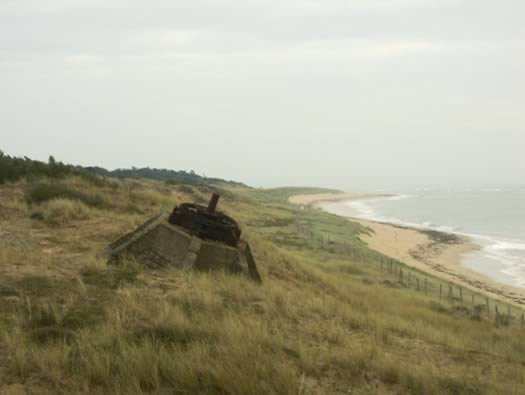 Ro425 ´Kora´, Ro429 'Korola', Ro424 'Käthe', Ile de Ré