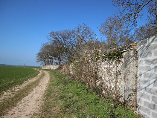 Wn23 Tailleville