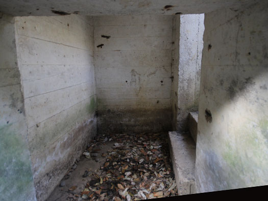 Wn61 Colleville-sur-Mer, (Omaha Beach)