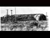 Wn208 Gabelweihe Dombunker.