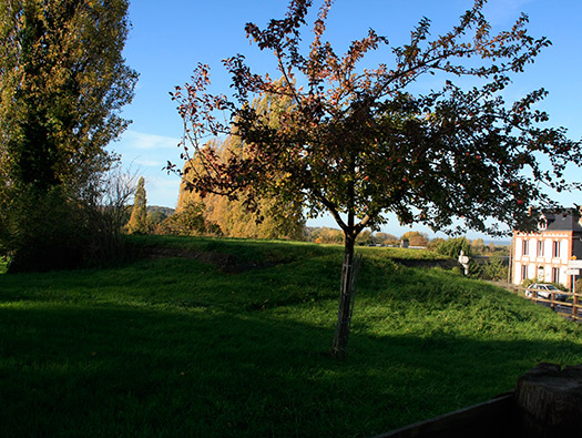 Wn Trou06 Pennedepie