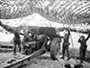 This is what a 10.5cm leF.H.324(f) gun.
    
    le - Leichte - Light.
    F.H. - Field Howitzer.
    (f) - French.