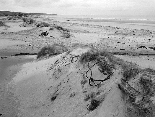 Wn65 St-Laurent-sur-Mer le Ruquet ouest